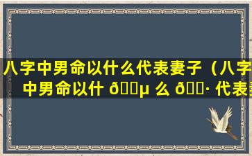 八字中男命以什么代表妻子（八字中男命以什 🐵 么 🕷 代表妻子的命运）